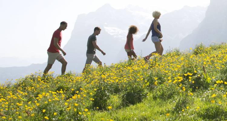 European Trail (End London, Winter, 23 Days) - Contiki