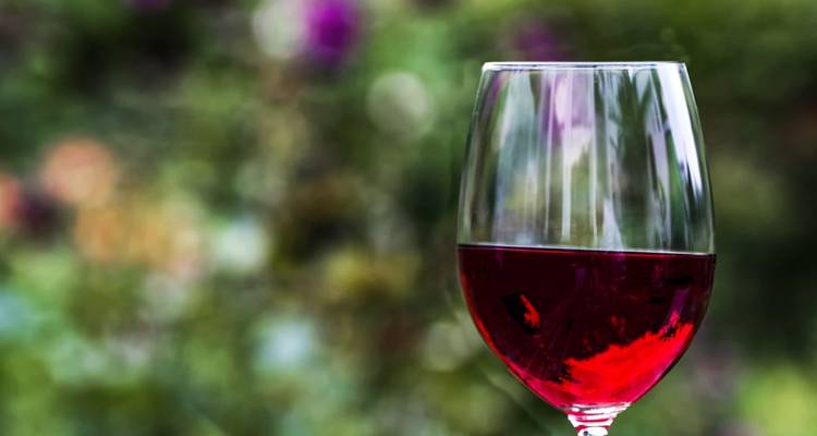 Close-up of a glass of red wine with a blurred background.