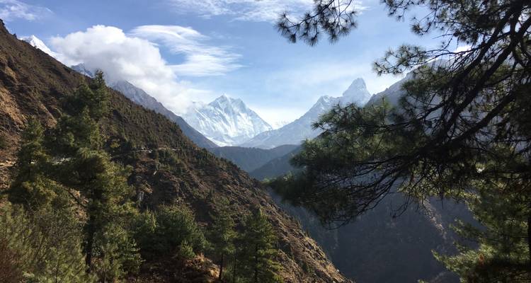 Chaîne de montagnes de l'Himalaya vue à travers les arbres.