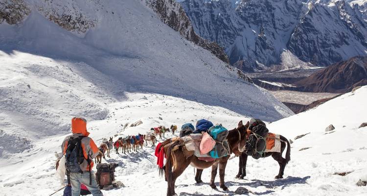 Rij muildierkarvaan op een besneeuwde bergpas.