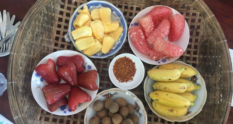 Eine Vielfalt tropischer Früchte, die auf Tellern angerichtet sind.