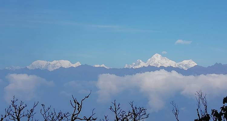 Snow-capped Himalayan peaks emerge above a blanket of clouds against a brilliant blue sky.