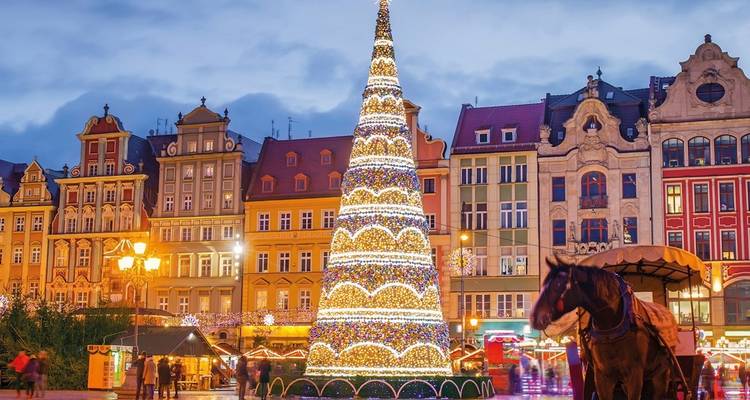 Festive Christmas market in Wroclaw’s Rynek with a towering illuminated tree and colorful facades.