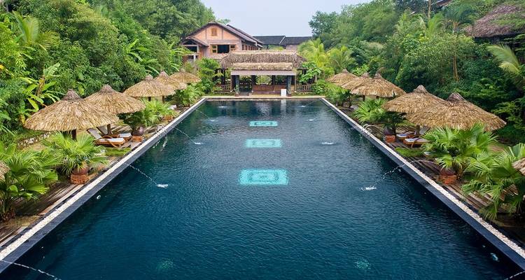 A serene swimming pool surrounded by palm trees and lush greenery.
