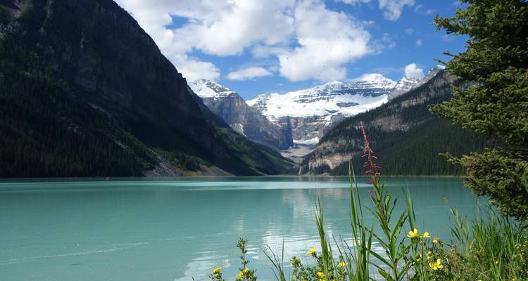 Lac Louise avec ses eaux turquoise et ses montagnes enneigées.