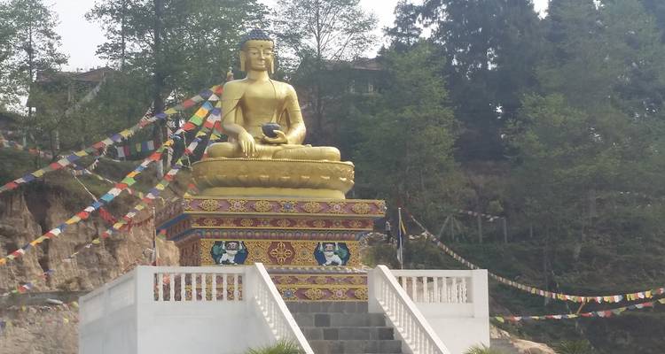 Estatua dorada de Buda con banderas de oración en los árboles circundantes.