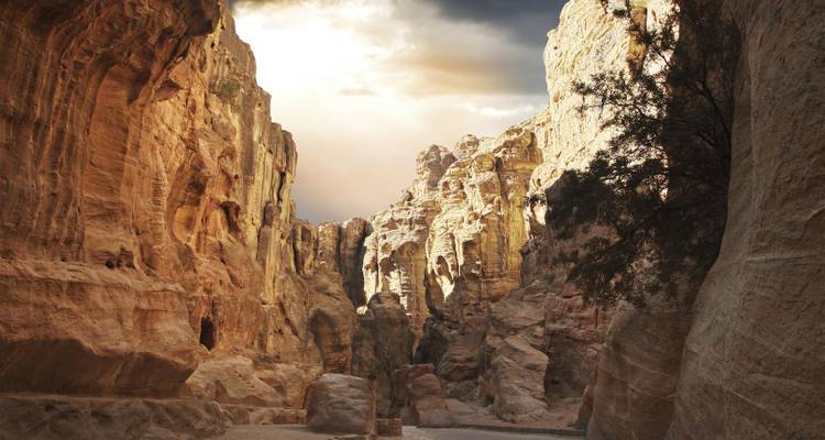 Dramatische Sandsteinwände der Siq-Schlucht in Petra, beleuchtet von warmem Sonnenlicht unter einem teilweise bewölkten Himmel.