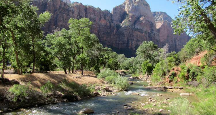 Un cours d'eau cristallin s'écoule à travers une vallée verdoyante sous d'imposantes falaises de grès dans le parc national de Zion.