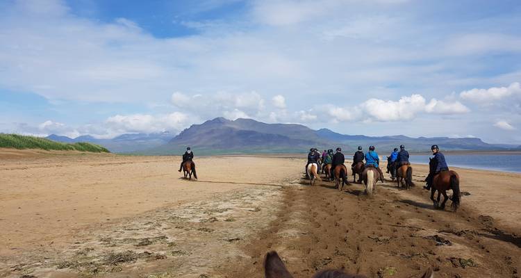 Longufjorur Beach Ride - Íslandshestar
