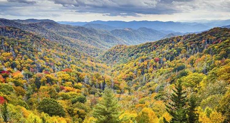 Best of the Smokies Tour - Wildland Trekking