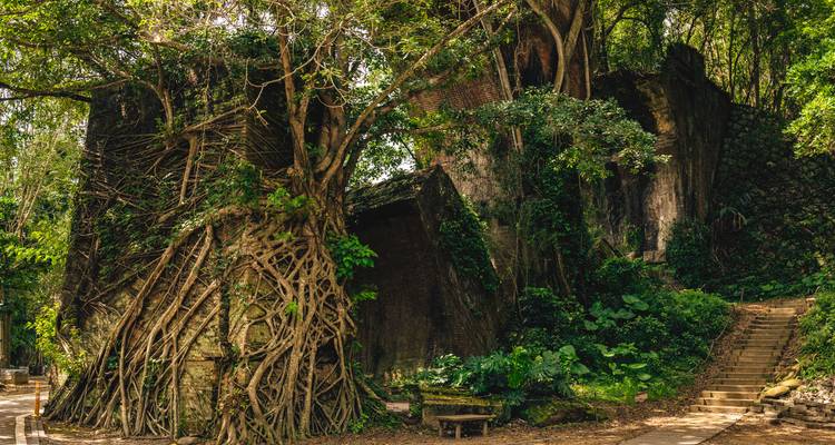 Ancient ruins with overgrown tree roots.