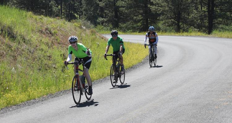 Cyclists riding on a countryside road.