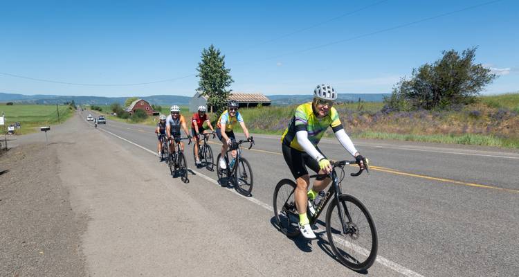 Cyclists riding along a rural road with greenery.