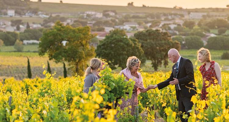 Small group chatting among sun-lit vineyard rows during a wine tasting in rural France.