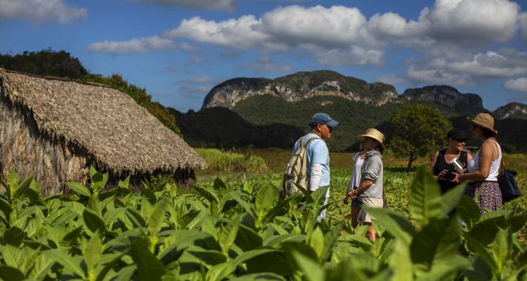 Cuba Plus! 15 days to explore the best of Cuba - MiCuba