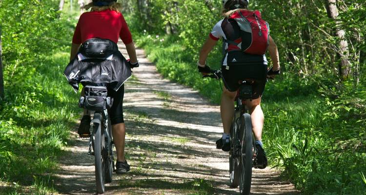 Deux cyclistes sur un sentier forestier avec de grands arbres et de la verdure.