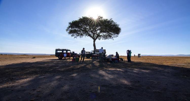 Des gens se sont rassemblés sous un arbre dans la savane.