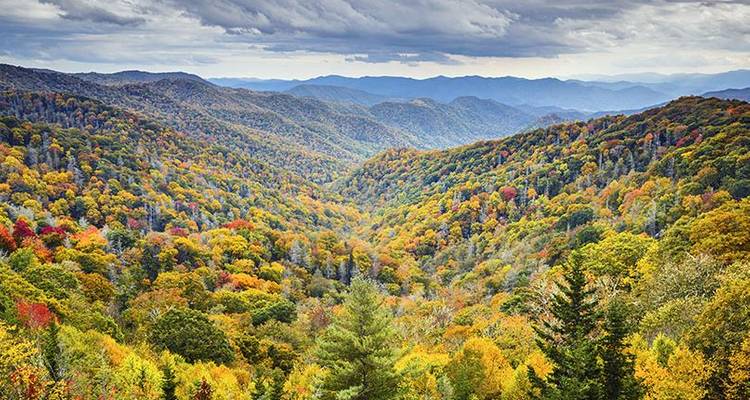 Appalachian Crest, Valleys & Balds - Wildland Trekking