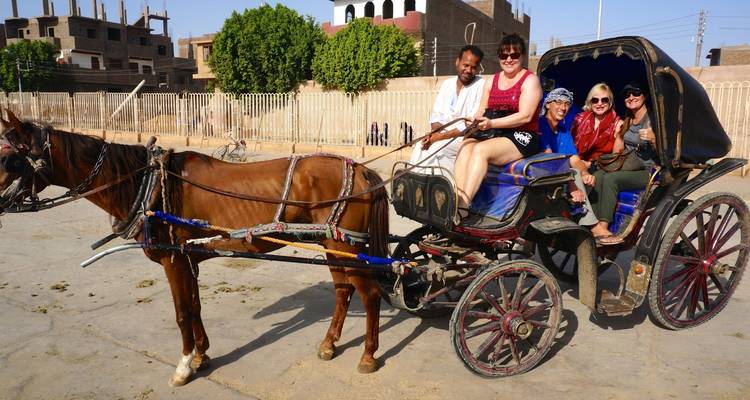 Group in a horse-drawn carriage on a sunny day.