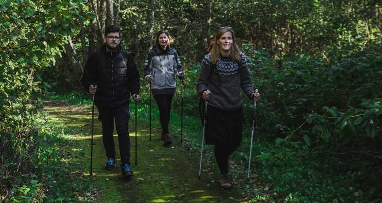 Drie mensen wandelen op een weelderig bospad.