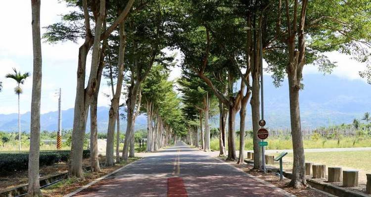 Carretera recta bordeada de árboles con montañas de fondo.