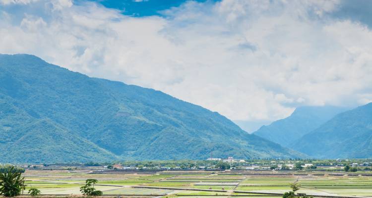 Valle agrícola amplio con campos de arroz en mosaico enmarcados por montañas azul-verdosas que se alzan majestuosas.