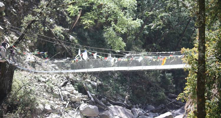 Pont suspendu au-dessus d'une gorge rocheuse avec des arbres autour.