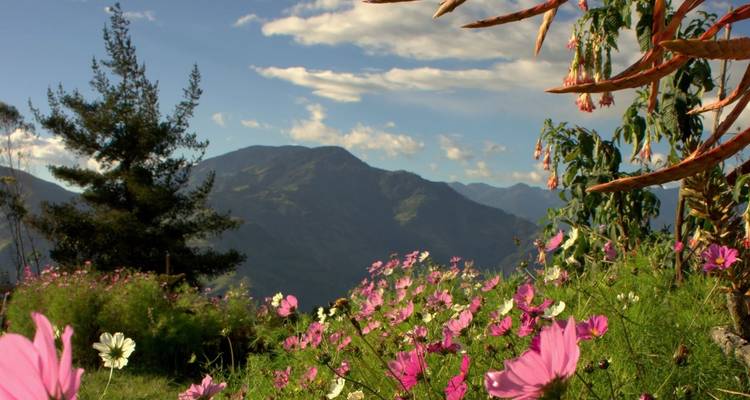 Quito old town, Amazon, Baños and scenic Highland rides - 6 Days - Andean Adventures