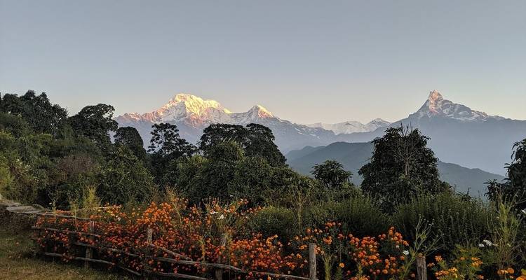 Blumengarten mit schneebedeckten Bergen im Hintergrund.