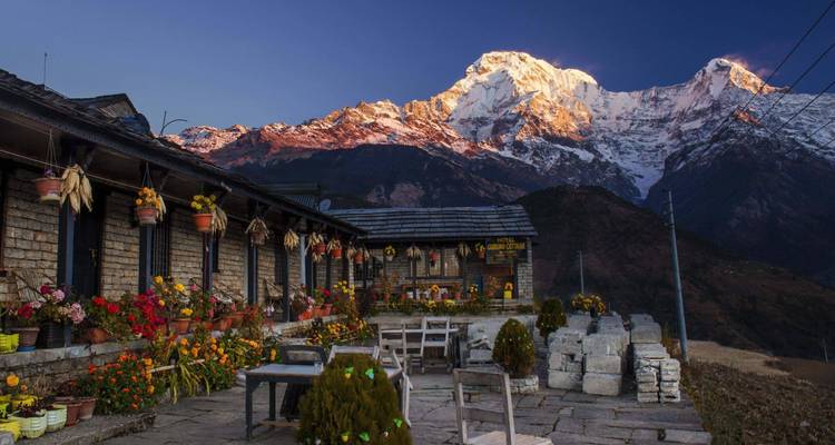 Berghütte mit hängenden Blumen mit Blick auf einen schneebedeckten Gipfel.