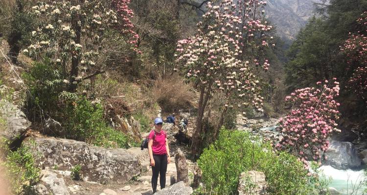 Personne qui fait de la randonnée dans une région montagneuse avec des arbres en fleurs.