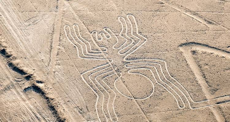 Lignes de Nazca représentant une araignée dans le désert.