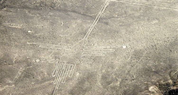 Lignes de Nazca représentant une figure d'oiseau dans le désert.