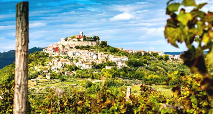 Trails and Wines of Istria - The Natural Adventure Company