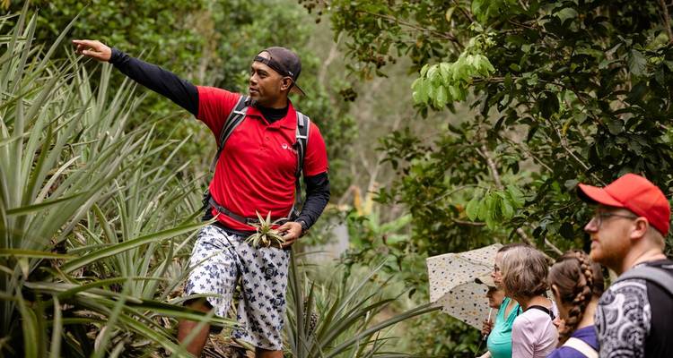 Guide naturaliste local fait des gestes vers la végétation pendant que les voyageurs observent attentivement sur un sentier de jungle.