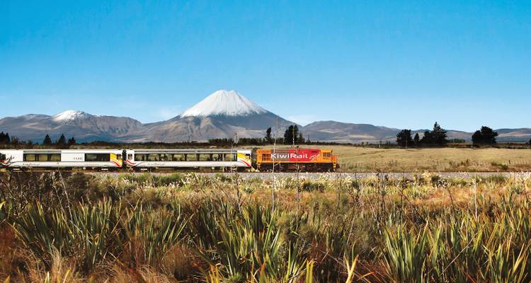 Wellington to Auckland Excursion (with Northern Explorer Train) - 3 Days - Headfirst Travel