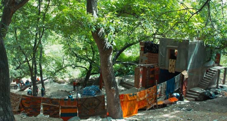 Tienda de alfombras en un entorno forestal.