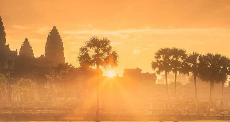 Ikonische Türme von Angkor Wat erscheinen durch goldenen Sonnenaufgangsnebel mit silhouettierten Palmen.