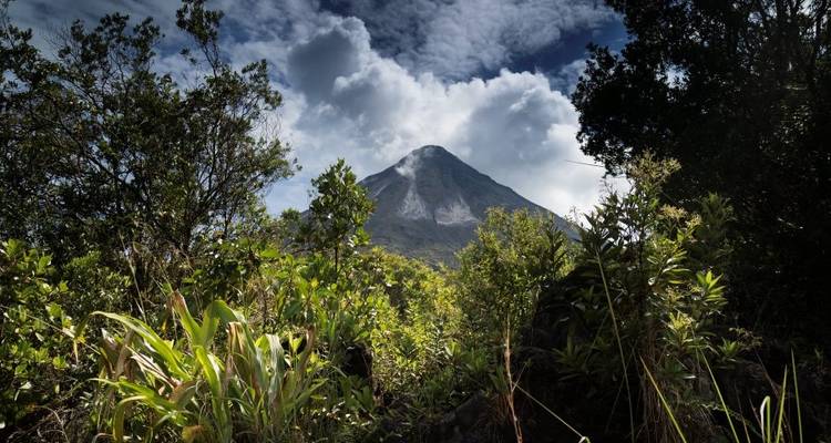 Family Costa Rica Rainforest and Wildlife Adventure - Explore!
