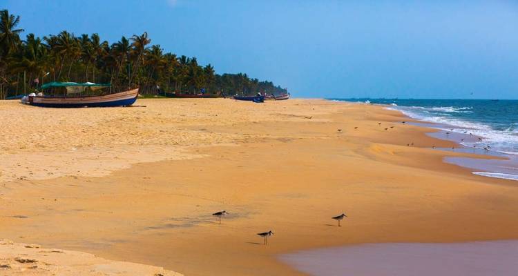 A vast sandy beach with a few boats and birds under a blue sky.