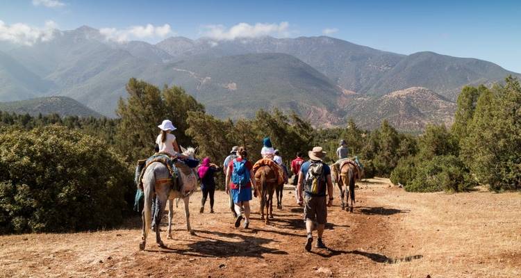 Family Marrakech, Atlas & Essaouira Adventure - Explore!