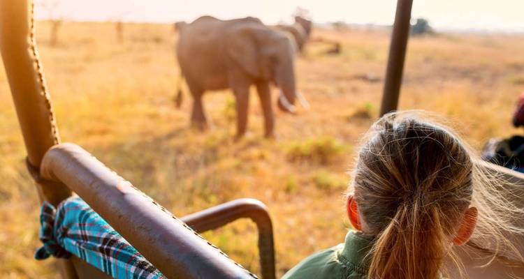 Nahaufnahme einer jungen Person auf Safari mit einem Elefanten in der Nähe.