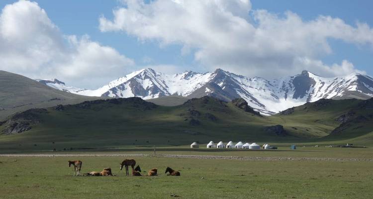 Horses grazing on a vast plain with yurts and snow-capped mountains in the background.