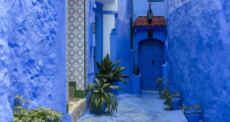 Schmale Gasse in lebhaften Blautönen gestrichen, gespickt mit Pflanzen und verzierten Türen in Chefchaouen.