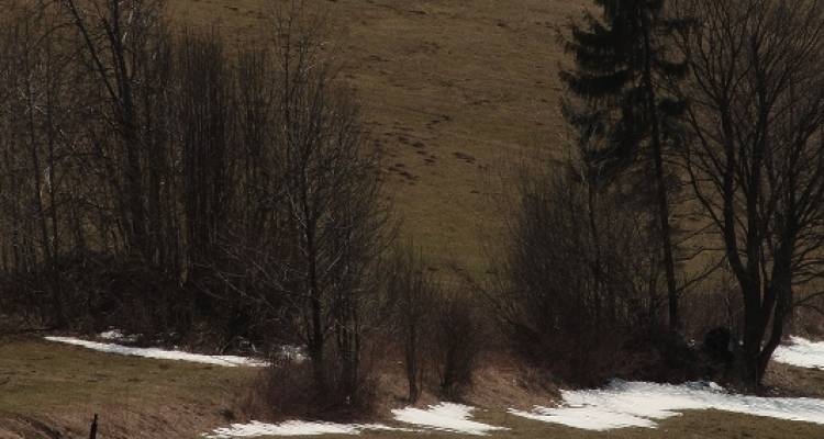 Polish Winter Adventure (New Year) - Explore!