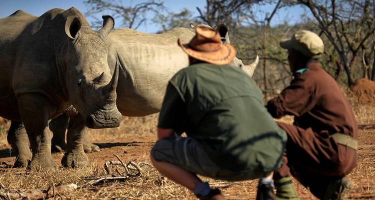 The Kingdom of Swaziland - Explore!