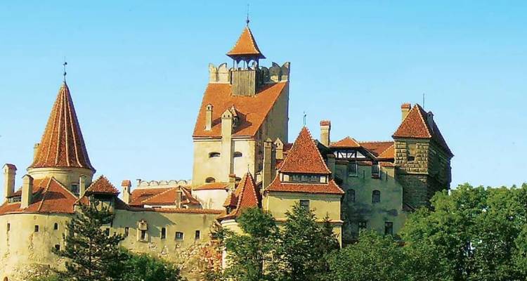 Medieval Bran Castle with orange-tiled roofs sitting atop a forested hill under a clear blue sky.