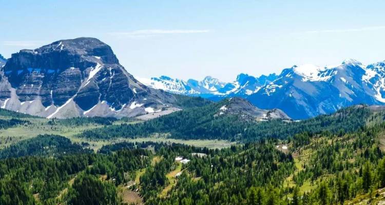 Vue panoramique des Rocheuses canadiennes avec des vallées boisées, des pics dentelés parsemés de neige et un ciel d'été dégagé.