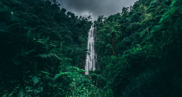 Hoge waterval die door dicht donker regenwoud onder een somber lucht naar beneden stort.
