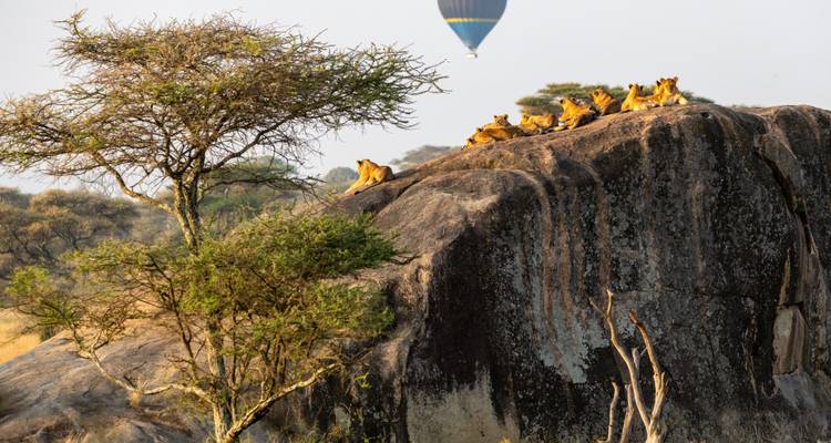 Een trotsstolp leeuwen uitgestrekt op een granieten kopje terwijl een heteluchtballon over de Serengeti-lucht zweeft.